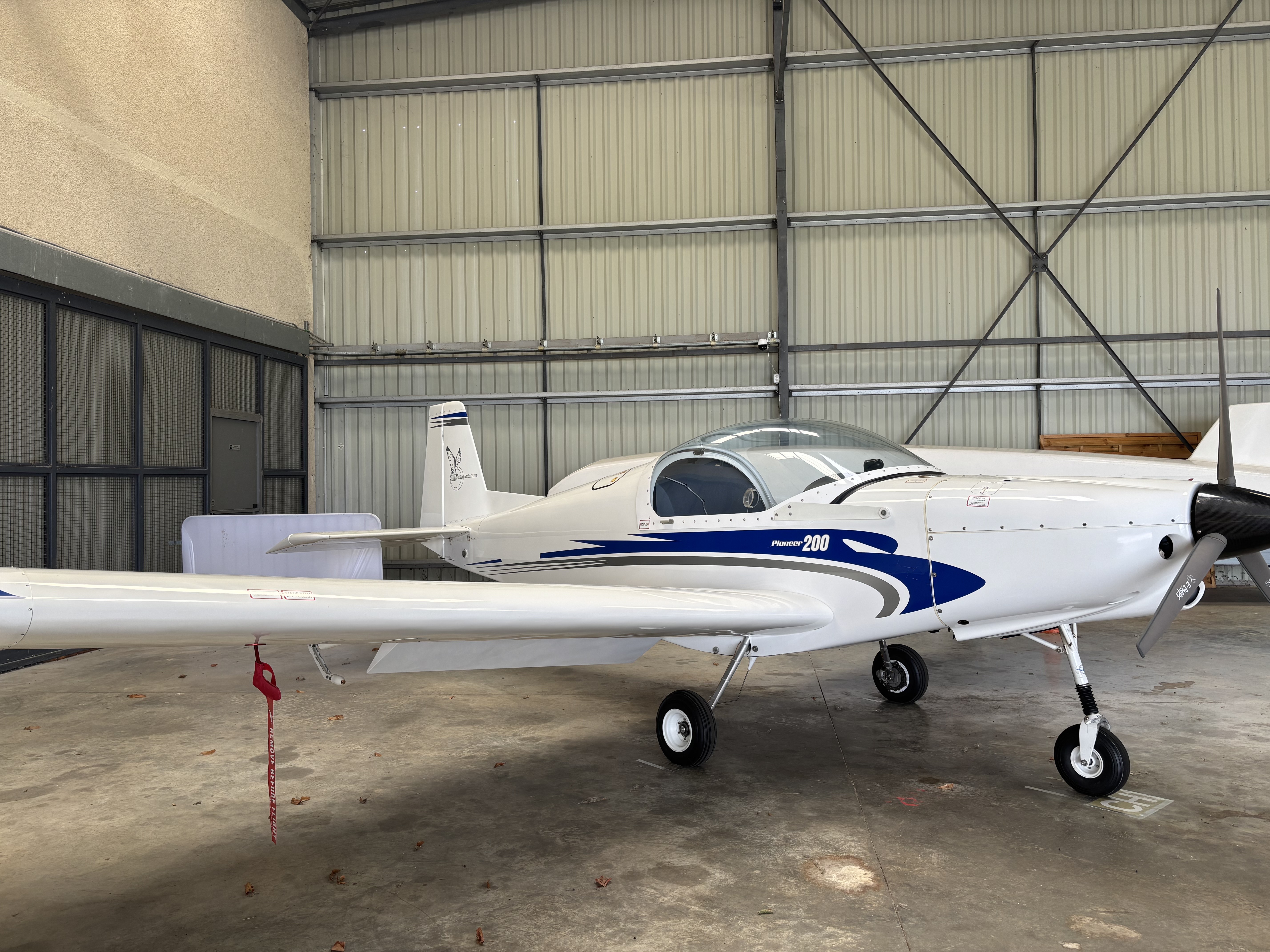 ALPI AVIATION - Pioneer 200